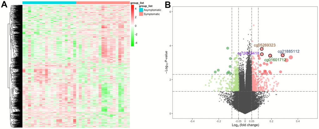 The heatmap and volcano plot for DMPs. (A) For the heatmap, the red strip represents symptomatic samples and the green strip represents asymptomatic samples. (B) For the volcano plot, the two vertical lines are the 0.05-fold change boundaries, and the horizontal line is the statistical significance boundary (P 