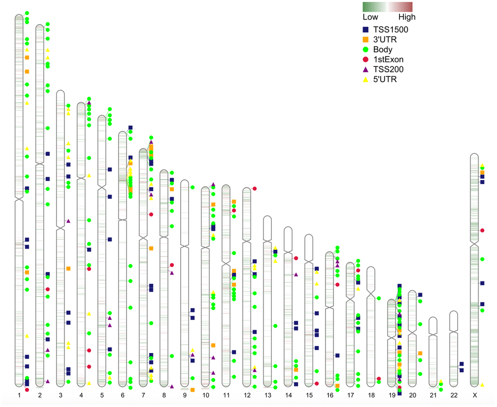 Chromosome distribution of differentially methylated intergenic CpGs. The plot presents the distribution of differential intergenic CpG sites at 22 autosomes and the X chromosome. Regions in red are hypermethylated regions, and regions in green are hypomethylated regions. The value is the logFC of the M value among asymptomatic and symptomatic patients.