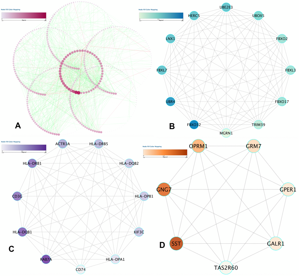 PPI network construction and hub item identification. (A) PPI network of the selected DMGs. Edges stand for the interaction between two genes. The significant modules recognized in the PPI network by the molecular complex detection technique with a score of > 7.0. (B) Molecular-1 with MCODE = 12; (C) Molecular-2 with MCODE = 9.8; (D) Molecular-3 with MCODE = 7.6. A degree was utilized to explain the prominence of protein nodes in the network; dark colors show a high degree, and light colors present a low degree.