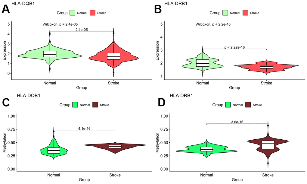 Validation of mRNA expression as well as DNA methylation of interest between IS and healthy samples.