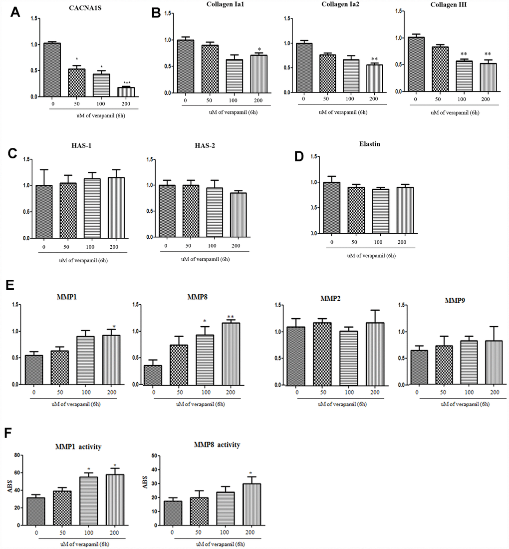 Alteration of CACNA1s gene and ECM protein with verapamil treatment in hVFFs. After the verapamil treatment for 6 h in hVFFs, the expression of CACNA1S decreases in RT-PCR as dose-dependent manner (A). The synthesis of collagen I alpha 1 and 2 and collagen III in hVFFs decrease according to the concentration of verapamil (B). However, there are no effect on the synthesis of HA or elastin (C and D). MMP-1 and -8 are increased the expression and activity as the concentration increased (E and F). However, there was no change in the expression of MMP-2 and -9 (E). Relative gene expression (fold change) was normalized to the respective housekeeping gene (18s RNA) controls. HAS, hyaluronic acid synthase. MMPs, matrix metalloproteinases. One-way ANOVA test; NS as no significant, *p