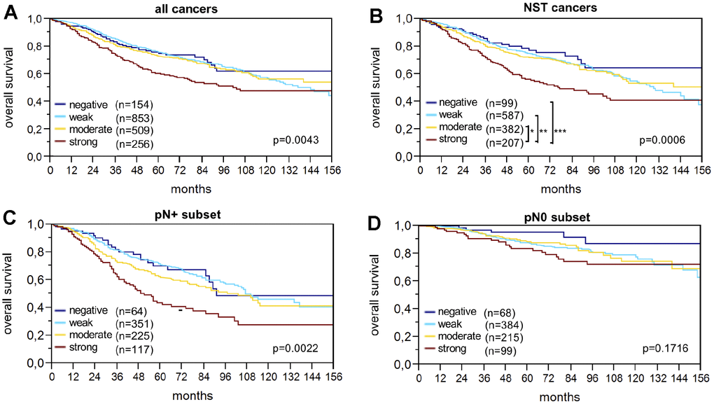LPCAT1 staining and overall survival in (A) all cancers, (B) the no special type (NST) cancer subset, (C) nodal positive, and (D) nodal negative cancers.