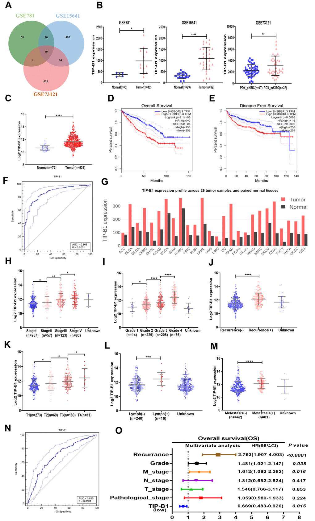 Identify TIP-B1 is overexpressed in KIRC and predict aggressive clinicopathological traits. (A) Venn diagram of differentially expressed genes in GSE781, GSE15641and GSE73121datasets. (B) The TIP-B1 in KIRC tumor samples and pair-matched tissues. Each dot represents one sample. (C) TCGA cohort analysis of the TIP-B1 in KIRC tumor samples and pair-matched normal tissues. (D–E) Overall survival (D) and disease-free survival (E) curve of KIRC patients with low and high TIP-B1 expression. (F) ROC curve of TIP-B1 between KIRC and normal tissues (G) TIP-B1 expression across 26 human tumor and paired tissues. (H–M) Relative expression levels of TIP-B1 in TCGA-KIRC subgroup: pathological stage (H) tumor grade (I) recurrence status (J) tumor stage (K) lymphatic invasion (L) metastasis status (M). (N) ROC analysis to assess the specificity and sensitivity of TIP-B1 to differentiate between high and low group in KIRC tumor group. (O) Multivariate cox regression analyses of TIP-B1 expression with overall survival in TCGA database. The HR are presented as the means (95% confidence interval). *p 