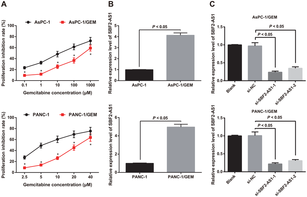 Identification of drug resistance and expression of SBF2-AS1 in AsPC-1/GEM and PANC-1/GEM cells. (A) Identification of drug resistance in AsPC-1 and PANC-1, AsPC-1/GEM and PANC-1/GEM cells by MTT assay. (B) Detection of the expression of SBF2-AS1 in AsPC-1 and PANC-1, AsPC-1/GEM and PANC-1/GEM cells by RT-qPCR. (C) RT-qPCR to detect transfection efficiency of SBF2-AS1 siRNA. Repetitions = 3; Data was analyzed using the t test or one-way ANOVA. * P 