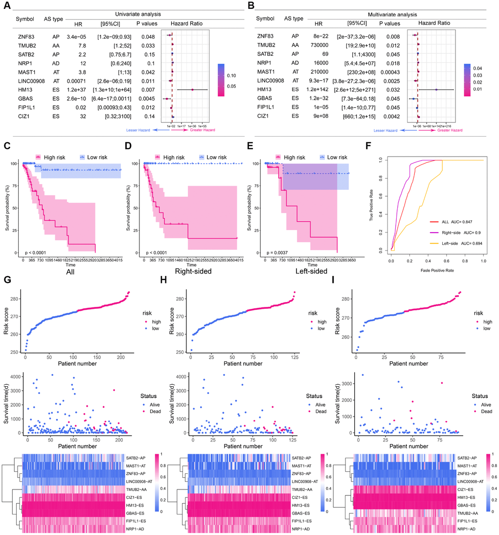 The prognostic value of the DEAS signature. (A) Univariate analysis of the 10 predictive factors for overall survival. P-values are indicated by the color scale on the side. Horizontal bars represent 95% confidence intervals. (B) Multivariate analysis of the 10 predictive factors for overall survival. P-values are indicated by the color scale on the side. Horizontal bars represent 95% confidence intervals. (C) Kaplan-Meier curves of the final prognostic model. Patients were divided into the high-risk and low-risk groups according to the median risk score. (D) Kaplan-Meier curves of the final prognostic model in right-sided colon cancer patients. (E) Kaplan-Meier curves of the final prognostic model in left-sided colon cancer patients. (F) The ROC curves of the final prognostic model in all, right-sided and left-sided colon cancer patients. (G–I) Construction and analysis of risk scores. The top panels indicate the risk scores of the patients. The middle panels depict the survival statuses and survival times of the patients distributed by risk score. The bottom panels display the heatmap of the PSI values for the 10 predictive factors distributed by risk score. (G) all patients; (H) right-sided colon cancer patients; (I) left-sided colon cancer patients.