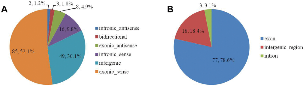 The biotype of DELs (A) and DECs (B) in the SN of 6Mon and 24Mon rats.