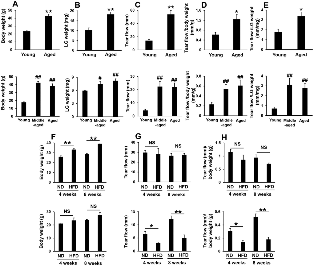 Pilocarpine-stimulated tear secretion increased in aged mice, but not in high-fat diet-fed mice. (A and B) Body weights and the weights of the lacrimal glands (LG) in young, middle-aged, and aged mice. Upper and lower graphs show male (N=5) and female mice (N=4-6), respectively. (C–E) Absolute volume of tear flow ©, adjusted by body weight (D) or LG weight (E). Upper and lower graphs show male (N=6) and female mice (N=4-6), respectively. (F) Body weight in normal diet (ND)- or high-fat diet (HFD)-fed mice for the indicated period (N=4). Upper and lower graphs show male and female mice, respectively. (G and H) Absolute volume of tear flow (G) adjusted by body weight (H) in ND or HFD-fed mice for the indicated period (N=4). Upper and lower graphs show male and female mice, respectively. Values are presented as means ± SEM. *pt-test). #p