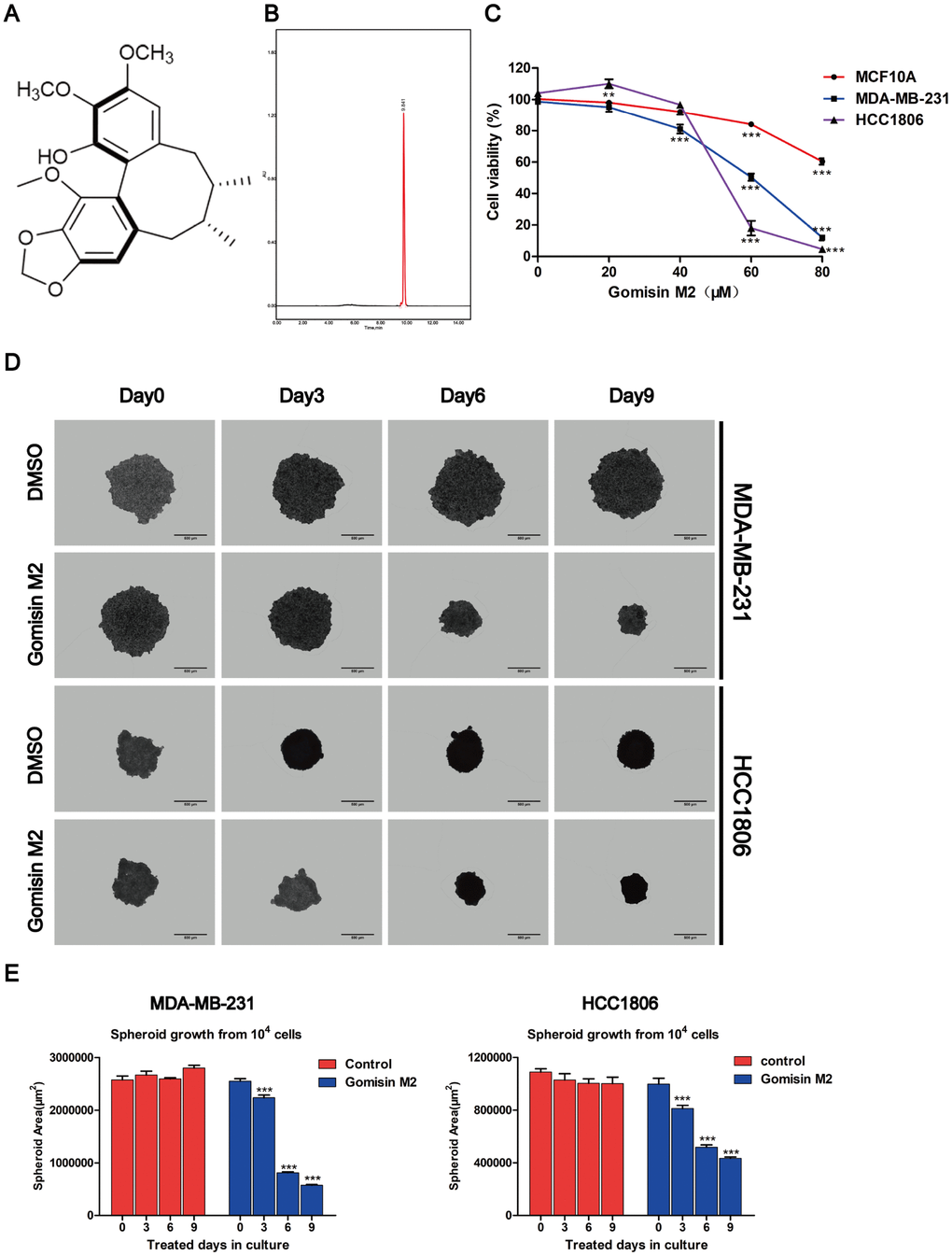 Effects of Gomisin M2 on the viability of MCF10A, MDA-MB-231, and HCC1806 cells. (A) The chemical structure of Gomisin M2. (B) The HPLC chromatograms of Gomisin M2. (C) Cells were treated with increasing doses of Gomisin M2 for 48 h. Cell viability determined by Alamar blue assay. (D) Images of the 3D spheroids that were treated with Gomisin M2 over 9 days were acquired in all microplates using the PerkinElmer Operetta High-Content Imaging System. Scale bar = 200 μm. (E) Bar plot of the average cross-sectional area of the MDA-MB-231 and HCC1806 spheroids. Approximately three replicate tumor spheroid samples were used for quantification. The data were expressed as the mean ± SD. Compared with the DMSO group: **p 