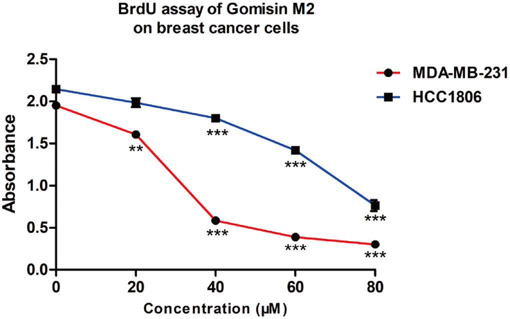 The proliferative effect of Gomisin M2 on MDA-MB-231 and HCC1806 cells following 48 h treatment. (Data are expressed as the mean ± SD relative to the vehicle control of three independent experiments ** p 