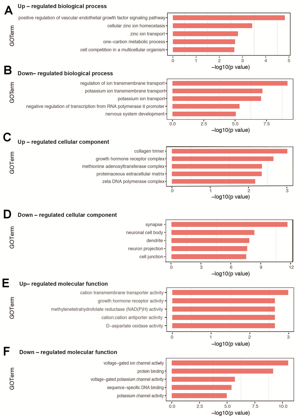 GO analysis of DEGs in hippocampal tissues between sevoflurane-treated and control mice. (A, B) Top 5 GO terms of biological process based on up- and down-regulated DEGs. (C, D) Top 5 GO terms of cellular component based on up- and down-regulated DEGs. (E, F) Top 5 GO terms of molecular function based on up- and down-regulated DEGs. Blue columns indicate terms without significant difference.