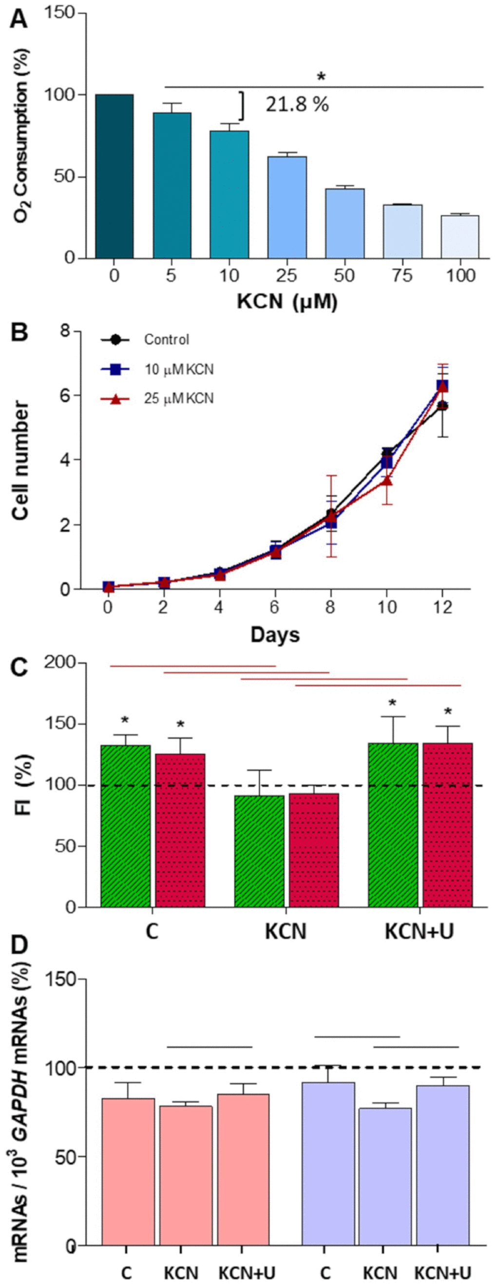 Potassium cyanide (KCN) effect on neuroblastoma SH-SY5Y cells. N ≥ 3. (A) Oxygen consumption in proliferating SH-SY5Y cells at increasing KCN concentrations. *: p B) Cell proliferation (in million cells) without KCN (control) and at 10 or 25 μM KCN. (C) TUBB3 (green) and TH (red) fluorescence intensity (FI) mean and standard deviation values in neuron-differentiated cells. Dashed line (100 %) represents TUBB3 or TH mean values of undifferentiated cells. *: p C), KCN-treated neuron-differentiated cells (KCN) and KCN plus uridine-treated neuron-differentiated cells (KCN+U), as indicated. (D) DHODH (pink) and UCK2 (purple) mRNA mean and standard deviation values in C, KCN and KCN+U neuron-differentiated cells. Dashed line (100 %) represents DHODH and UCK2 mRNA mean values of undifferentiated cells. Black horizontal lines indicate p values 