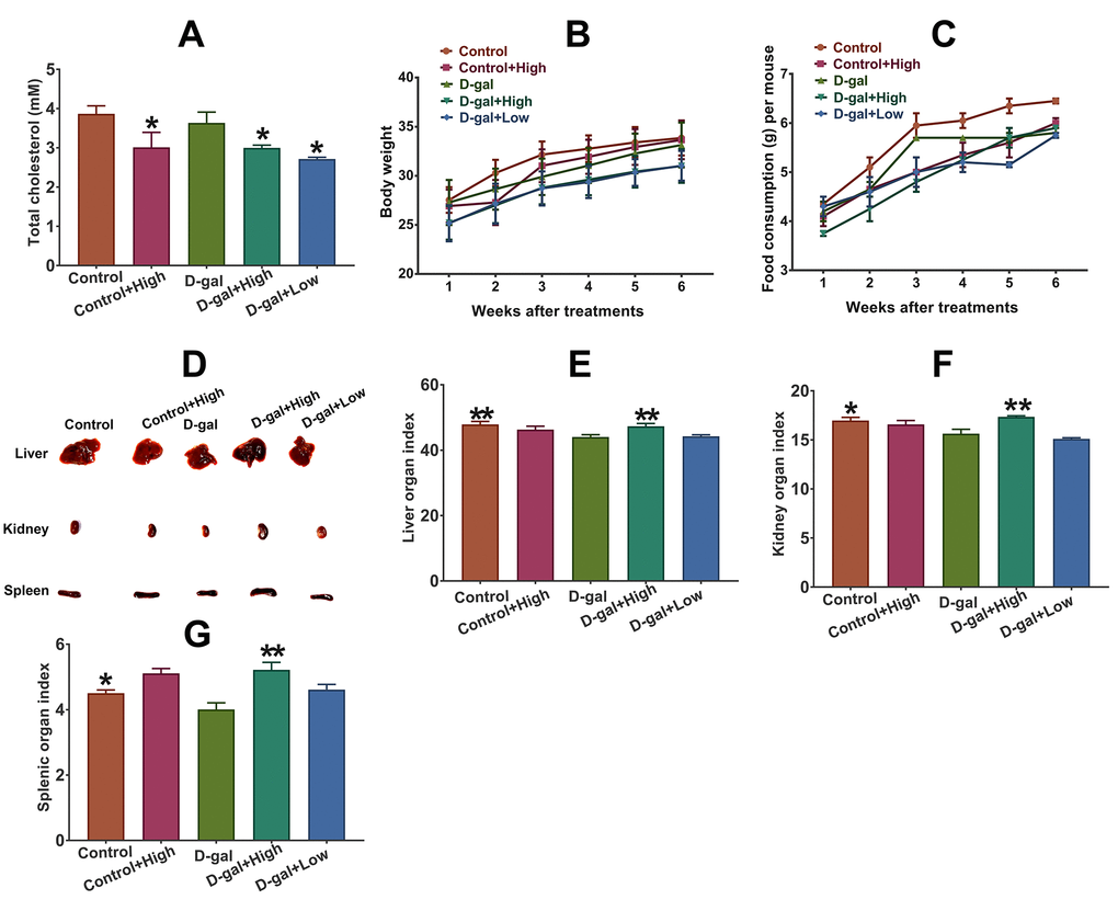 Effect of Prob on plasma cholesterol, organ index and general appearance in mice. (A) Effect of Prob on plasma cholesterol level. (B, C) Effect of Prob on body weight and food consumption of mice, respectively. (D) The representative picture of liver, kidney and spleen of mice. (E–G) Effect of Prob on liver, kidney and splenic organ index, respectively. Data in each experiment represent mean ± SEM from 10 independent samples. Statistically significant differences were calculated by one-way ANOVA using the SPSS 20.0 software. *P