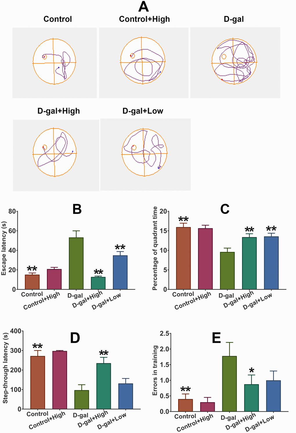Prob treatment improves the cognitive deficits in D-gal-induced aging model mice. (A) The representative traces during the probe test. (B, C) Effect of Prob on escape latency and percentage of quadrant time in the MWM test, respectively. (D, E) Effect of Prob on step-through latency and errors in training in passive avoidance test. Data in each experiment represent mean ± SEM from 10 independent samples. Statistically significant differences were calculated by one-way ANOVA using the SPSS 20.0 software. *P