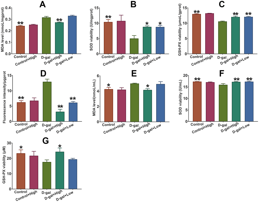 Effect of Prob on ROS and MDA level, and the activities of SOD and GSH-PX. (A–C) MDA level and the activities of SOD and GSH-PX in plasma, respectively. (D–G) Level of ROS and MDA, and the activities of SOD and GSH-PX in plasma, respectively. Data in each experiment represent mean ± SEM from 10 independent samples. Statistically significant differences were calculated by one-way ANOVA using the SPSS 20.0 software. *PP