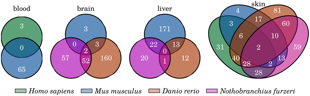 Common inflammation- and senescence-related genes that are significantly changed with age. Venn diagrams showing the overlap of the identified differentially expressed genes among the four investigated tissues. Only few genes are commonly differentially expressed among all species of any of the four tissue comparisons. For detailed information, see Supplementary Data 9.
