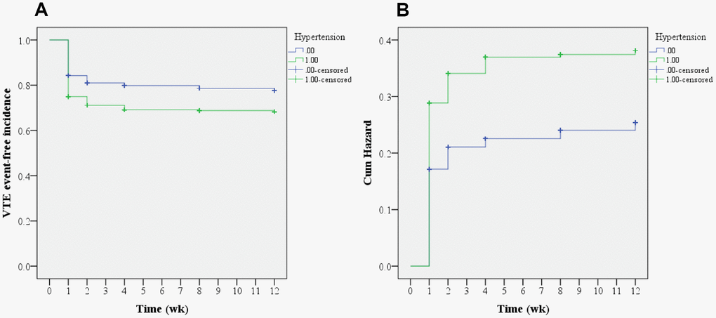 Kaplan-Meier analysis regarding hypertension. (A) Time-to-event analysis of postoperative VTE incidence related to hypertension; (B) Cumulative hazard model (log-rank test, P