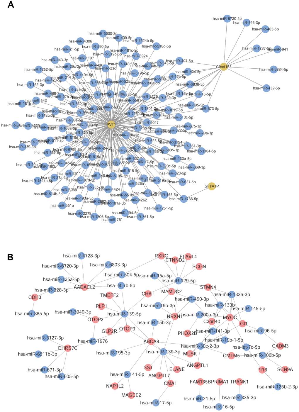 Prediction of common miRNAs. (A) LncRNA-miRNA pairs predicted by lncRNA. (B) The obtained common mRNA-miRNA. Red node was mRNA, yellow node was lncRNA, and blue node was miRNA.