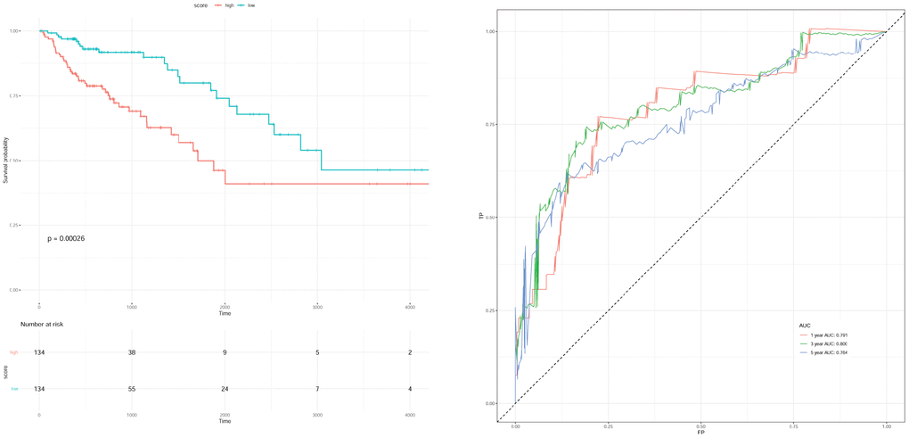 Survival curve (A) and receiver operation characteristic curve (B) of scoring model with clinical factor of stage.