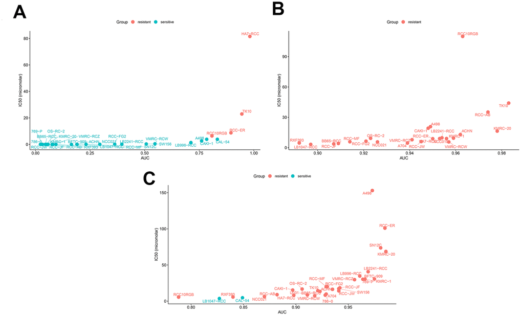 Drug sensitivity analyses of ccRCC cell lines. The AUC versus IC50 plots show sensitivity of several ccRCC cell lines to treatment with (A) Sepantronium bromide, (B) Axitinib, and (C) Cabozantinib. The cell lines with IC50 values that are greater than the maximum screening concentrations used for the targeted drugs are considered to be resistant to the corresponding drugs. The green dots denote drug-sensitive ccRCC cell lines and red dots denote drug-resistant ccRCC cell lines. IC50 =half maximal inhibitory concentration; AUC: Area under the dose-response curve.
