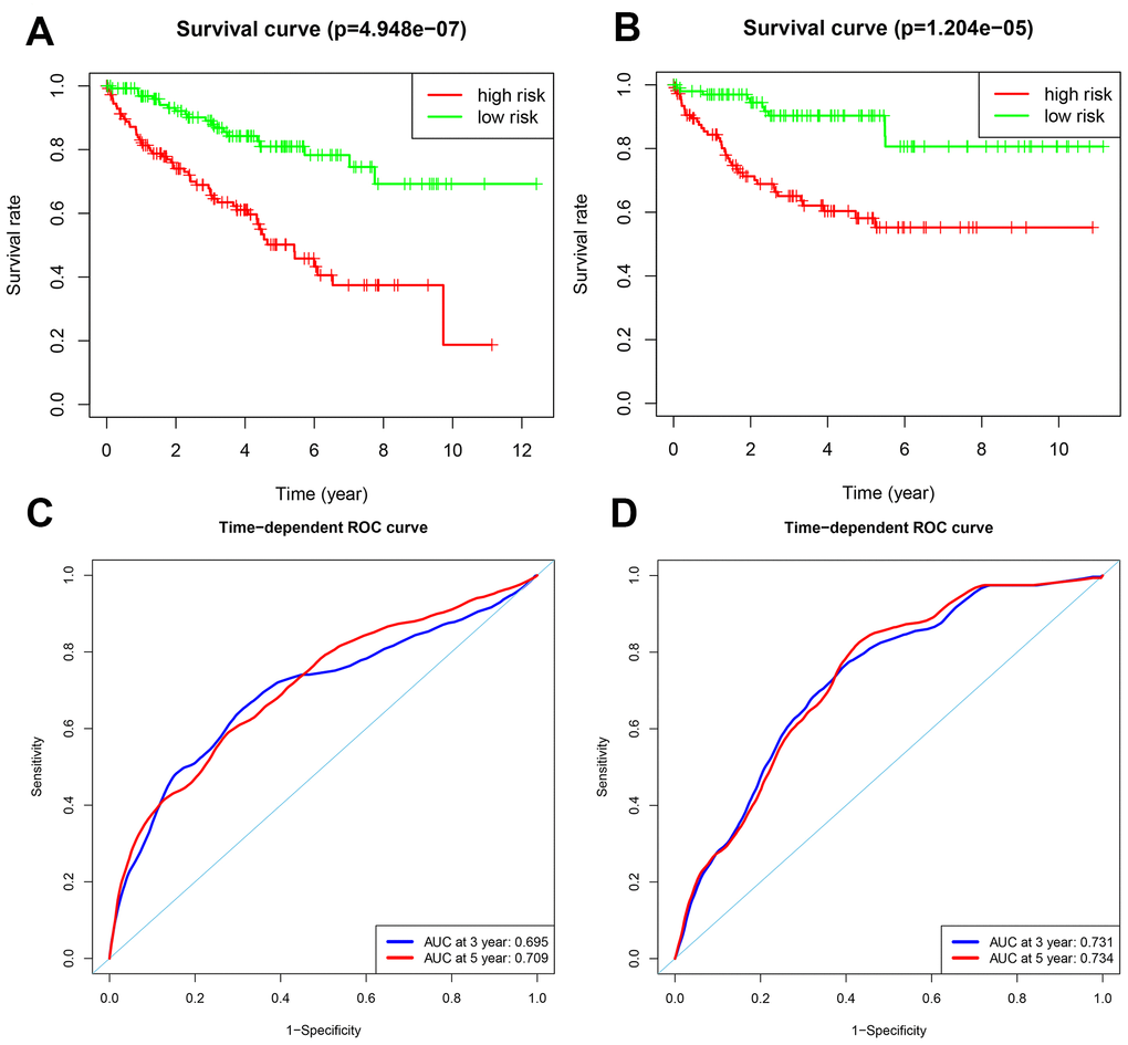 Validation of the OS and DFS prognostic risk models in the testing group ccRCC patients. (A) Kaplan-Meier survival curve analysis of OS in the high-risk (red line) and low-risk (green line) ccRCC patients in the testing group. (B) Kaplan-Meier survival curve analysis of DFS in the high-risk (red line) and low-risk (green line) ccRCC patients in the testing group. (C) Time-dependent ROC curve analyses shows AUC values for 3-year (blue) and 5-year (red) OS in the testing group ccRCC patients. (D) Time-dependent ROC curve analyses shows AUC values for 3-year (blue) and 5-year (red) DFS in the testing group ccRCC patients.