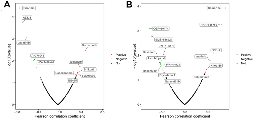 Correlation between the expression status of risk DEARGs and drug sensitivity of ccRCC cell lines. The plot shows the correlation between the expression status of (A) BAG1 and (B) BIRC5 genes relative to the sensitivity of several ccRCC cell lines to various drugs. The green dots represent drugs that negatively correlate with the expression of the risk genes (p p p > 0.05).