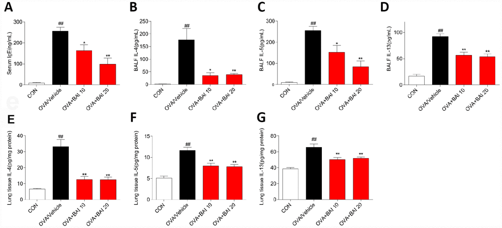 Baicalein reduces OVA-induced Th2 inflammation. The OVA/Al(OH)3 model is characterized by Th2-driven airway inflammation. To determine the effect of Baicalein on Th2 airway inflammation, ELISA was performed to detect the levels of IgE in serum (A) and IL-4, IL-5, and IL-13 in BALF (B–D) and lung homogenate (E–G) (results are presented as the mean ± SEM. n = 6 mice per group; ##P *P **P 