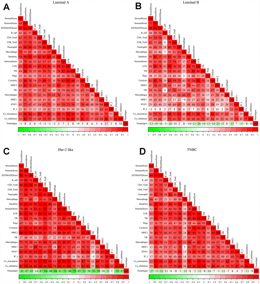 Correlations between different immune scores in patients with different breast cancer subtypes. (A) Luminal A subtype, (B) Luminal B subtype, (C) Her-2-like subtype, (D) TNBC subtype. Spearman correlation coefficients are color-coded to indicate positive (red) or negative (green) associations.