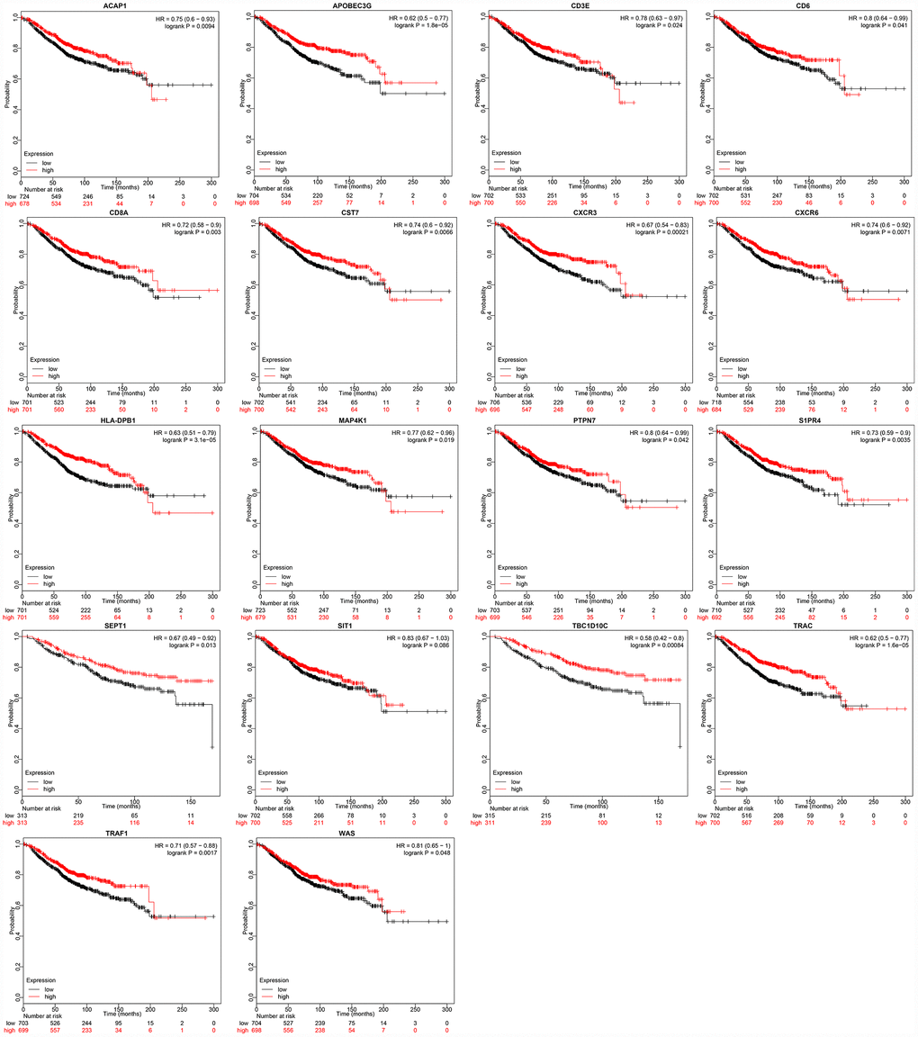 Relationship between immune microenvironment-related genes and breast cancer patient prognosis. Data were analyzed with KM plotter. Probabilities indicate overall survival; HR: hazard ratio.