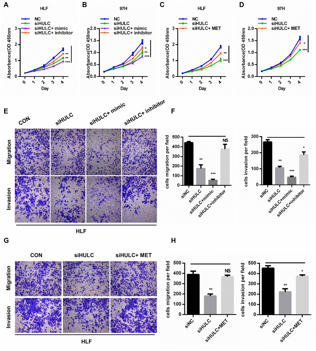 HULC promotes HCC progression through the miR-2052/MET axis in vitro. (A–D) CCK8 assays for HLF and 97H cells cotransfected with siHULC and miR-2052 mimic or inhibitor or MET. (E–H) Transwell assays for HLF and 97H cells cotransfected with siHULC and miR-2052 mimic or inhibitor or MET. *P P P 