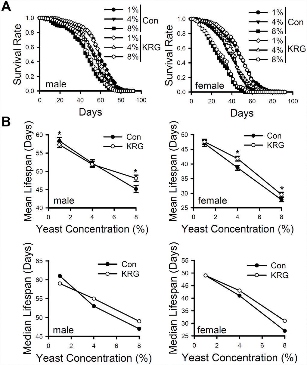 Effect of KRG on the lifespan of fruit flies fed a DR diet. (A) The survival of flies fed KRG-supplemented 1%, 4%, or 8% yeast extract diets (lines with open dots) or control diets (lines with closed dots). (B) The mean (upper graphs) and median (lower graphs) lifespans are shown. *p 