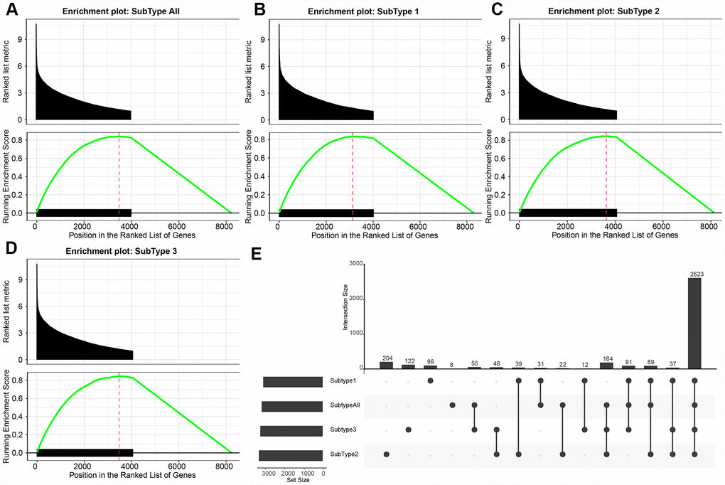 (A–D) GSEA plots shows the enrichment of all GBM and each subtype according to the fold-change as ranked. It can be seen that the DE-lncRNAs are enriched in the gene set with large differential fold. (E) The upset plot shows the intersection of three subtypes of DE- lncRNAs. There is a large overlap between the three subtypes and all tumor samples.