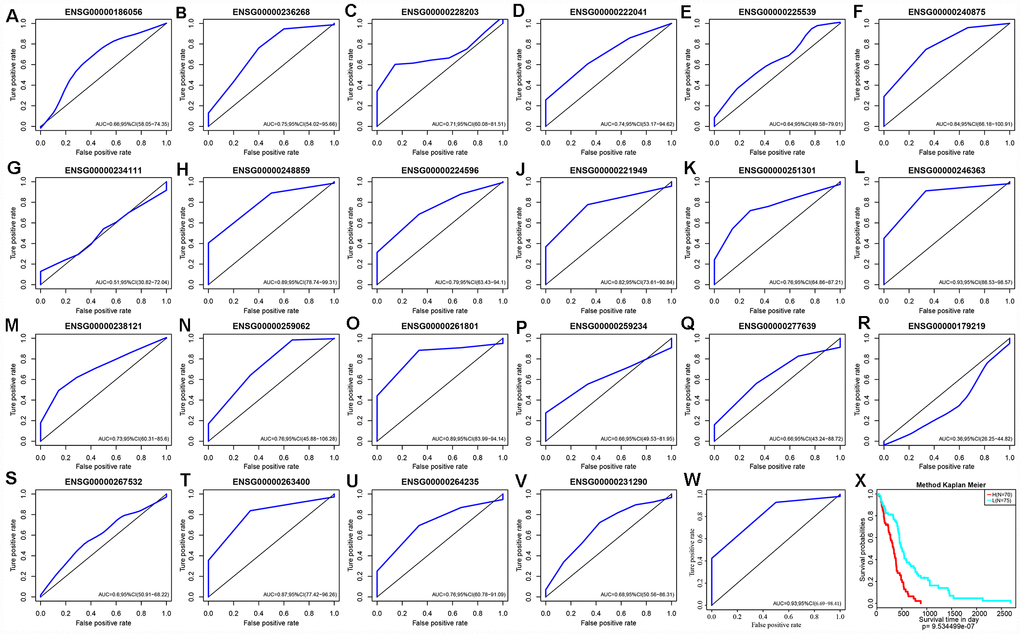 (A–V) ROC curves of 22 lncRNAs with significant prognostic value for GBM. (W) ROC curves of five-lncRNA model. (X) Patients of High-Risk and Low-Risk group. Survival analysis showed that the prognosis of the high-risk group was worse than that of the low-risk group, p 