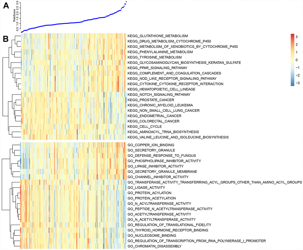 (A) The top curve shows Risk Score distribution of GBM patients. (B) The heat map of Risk Score-related top 20 KEGG Pathway and top 20 GO Terms.