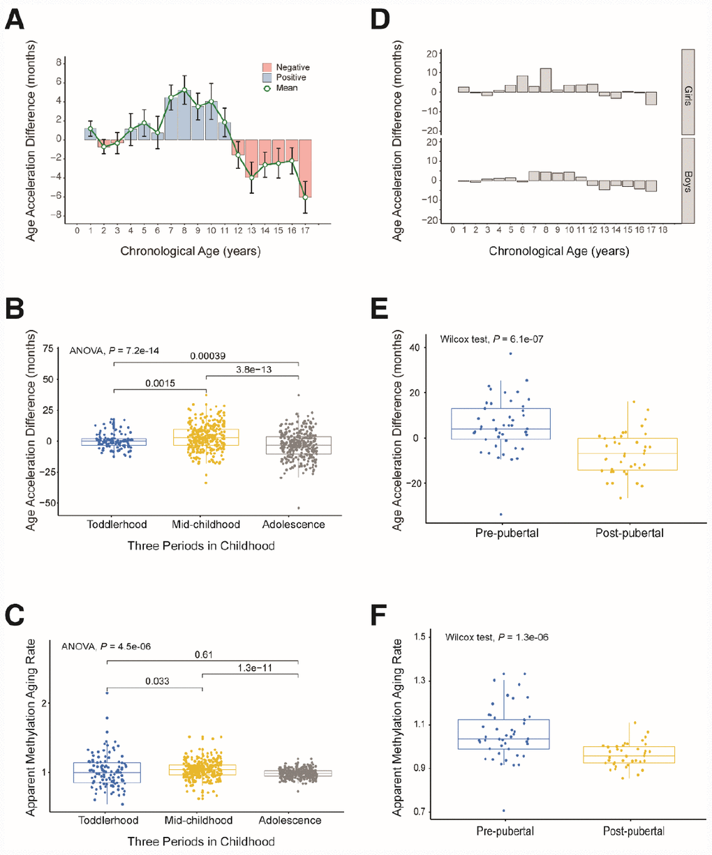 Age acceleration in different periods of childhood. (A) Histogram of the mean value distribution of the age acceleration difference for all individuals. A pink column indicates a negative value, meaning that the average difference between the DNA methylation age and the chronological age is less than zero. A blue column indicates a positive value, meaning that the average difference between the DNA methylation age and the chronological age is greater than zero. The green circle represents the average difference between the DNA methylation age and the chronological age (age unit is years). (B) Boxplot of the age acceleration difference during different periods of childhood. The blue box indicates toddlerhood, the yellow box indicates mid-childhood and the gray box indicates adolescence. (C) Boxplot of the apparent methylation aging rate during different periods of childhood. The box colors have the same meaning as above. (D) Histograms of the mean value distribution of the age acceleration difference for girls and boys, respectively. (E) Boxplot comparing the age acceleration difference between pre-pubertal and post-pubertal individuals. The blue box indicates pre-pubertal individuals and the yellow box indicates post-pubertal individuals. (F) Boxplot comparing the apparent methylation aging rate between pre-pubertal and post-pubertal individuals. The box colors are the same as above.