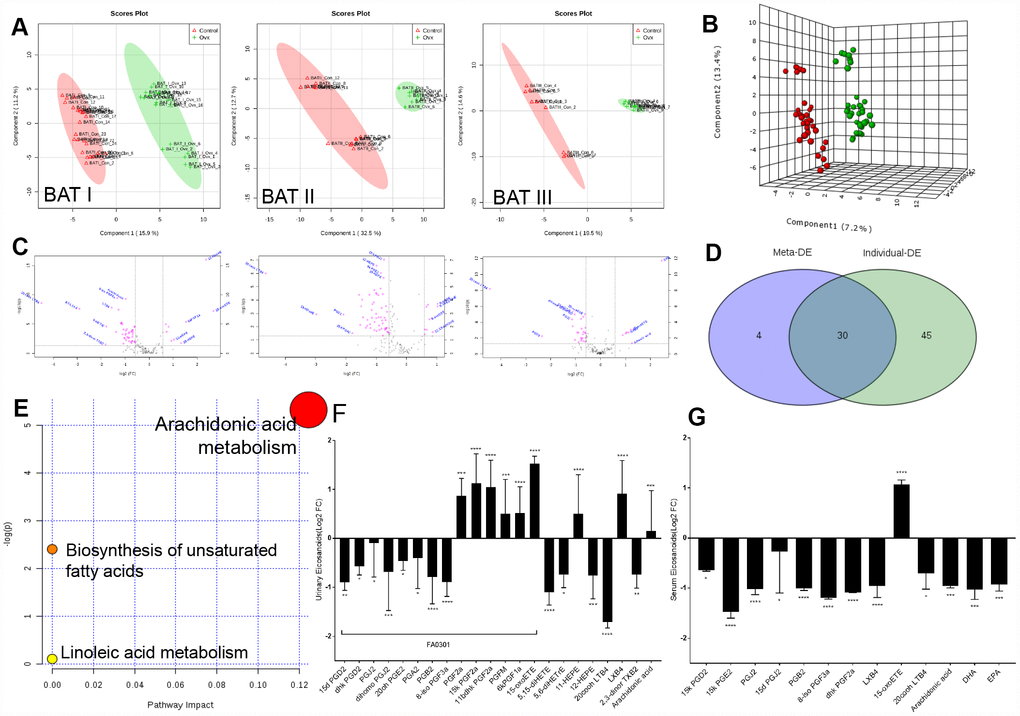 Imbalances of eicosanoids in the kidneys of OVX rats. (A) PLS analysis of the metabolome profile of the kidney in the control and OVX rats from three experiments. (B) Meta-analysis and PLS analysis of urinary eicosanoids in control rats (n = 45) and OVX rats (n = 45). (C) Volcano plot for eicosanoid changes with pink colour reflecting decreases/increases. (D) Venn diagram of the top differentially expressed features from the meta-analysis. (E) Pathway enrichment plot of the biomarkers in each pathway. (F) Liquid chromatography–tandem mass spectrometry analysis of eicosanoids (Log2 FC) from urine samples. (G) Liquid chromatography–tandem mass spectrometry analysis of eicosanoids (Log2 FC) from serum samples. n=6, mean ± s.d., compared to control rats, *p 