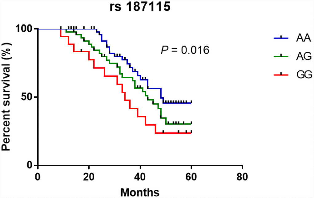 Kaplan-Meier analysis of the effect of CD44 rs187115 polymorphism on overall survival among CRC patients.