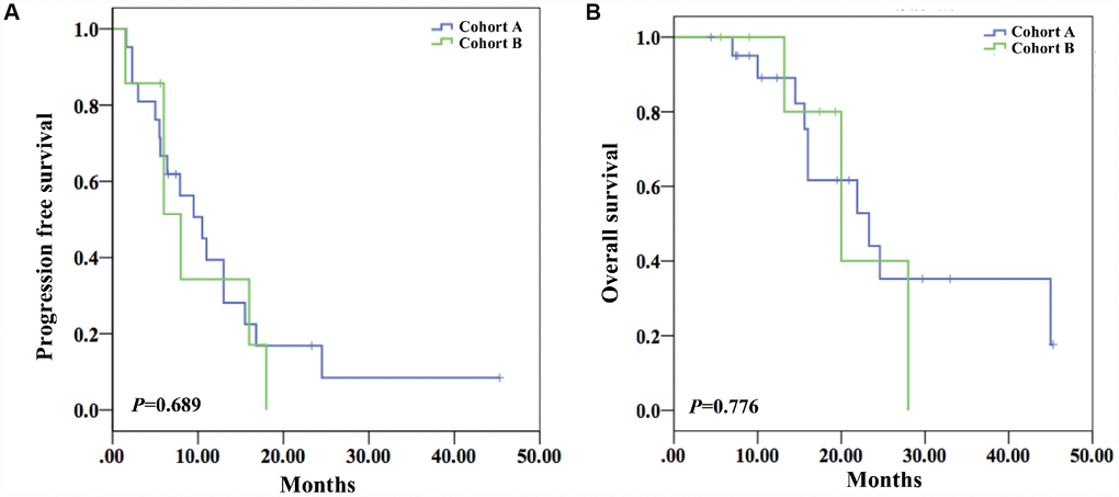 Survival analysis of both cohorts. (A) The mPFS of the two cohorts showed no statistical difference (10.5 months (95%CI 6.4-14.6) vs 8.0 months (95%CI 3.2-12.8)) (P=0.689). (B) The mOS of the two cohorts did not show statistical difference (23.3 months (95%CI 12.1-34.5) vs 20.0 months (95%CI 10.1-29.9)) (P=0.690).