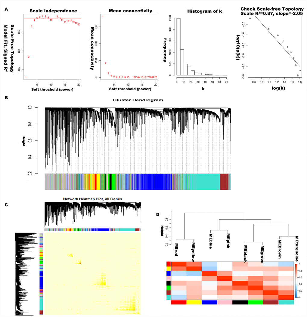 Construction of co-expression modules of LC. (A) Analysis of network topology for various soft-threshold powers. Check scale-free topology, and here the adjacency matrix was defined using soft-thresholds with beta= 5. (B) Clustering dendrograms of genes, with dissimilarity based on topological overlap, together with assigned module colors. (C) The heatmap depicts the topological overlap matrix (TOM) among genes based on co-expression modules. (D) Visualizing the gene network using a heatmap plot.