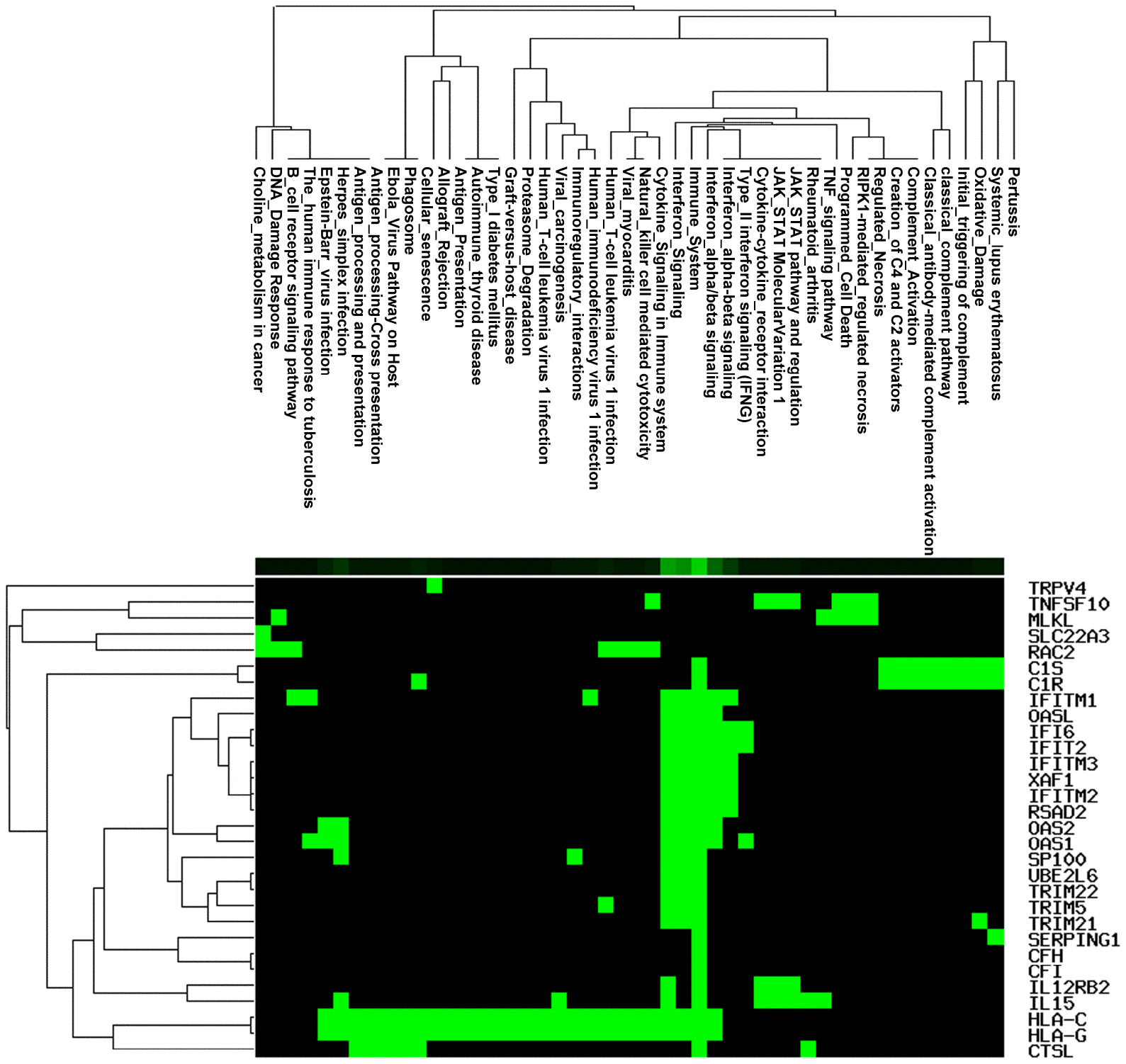 class="figure-viewer-img"