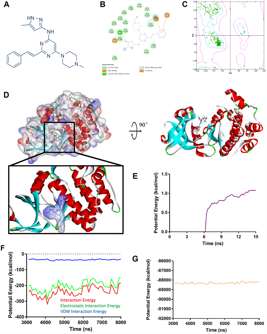 (A) ENMD-2076 chemical structure from virtual screening. (B) 2D inter-molecular interaction diagram of ENMD-2076 Aurora kinase A complex. (C) The Ramachandran diagrams of Aurora kinase A. (D) Schematic drawing of interactions between Aurora kinase A and ENMD-2076. (E) Average backbone root mean square deviations (RMSD) curve of ENMD-2076 Aurora kinase A complex. (F–G) Potential energy profiles of ENMD-2076 Aurora kinase A complex performed by molecular dynamic simulation.