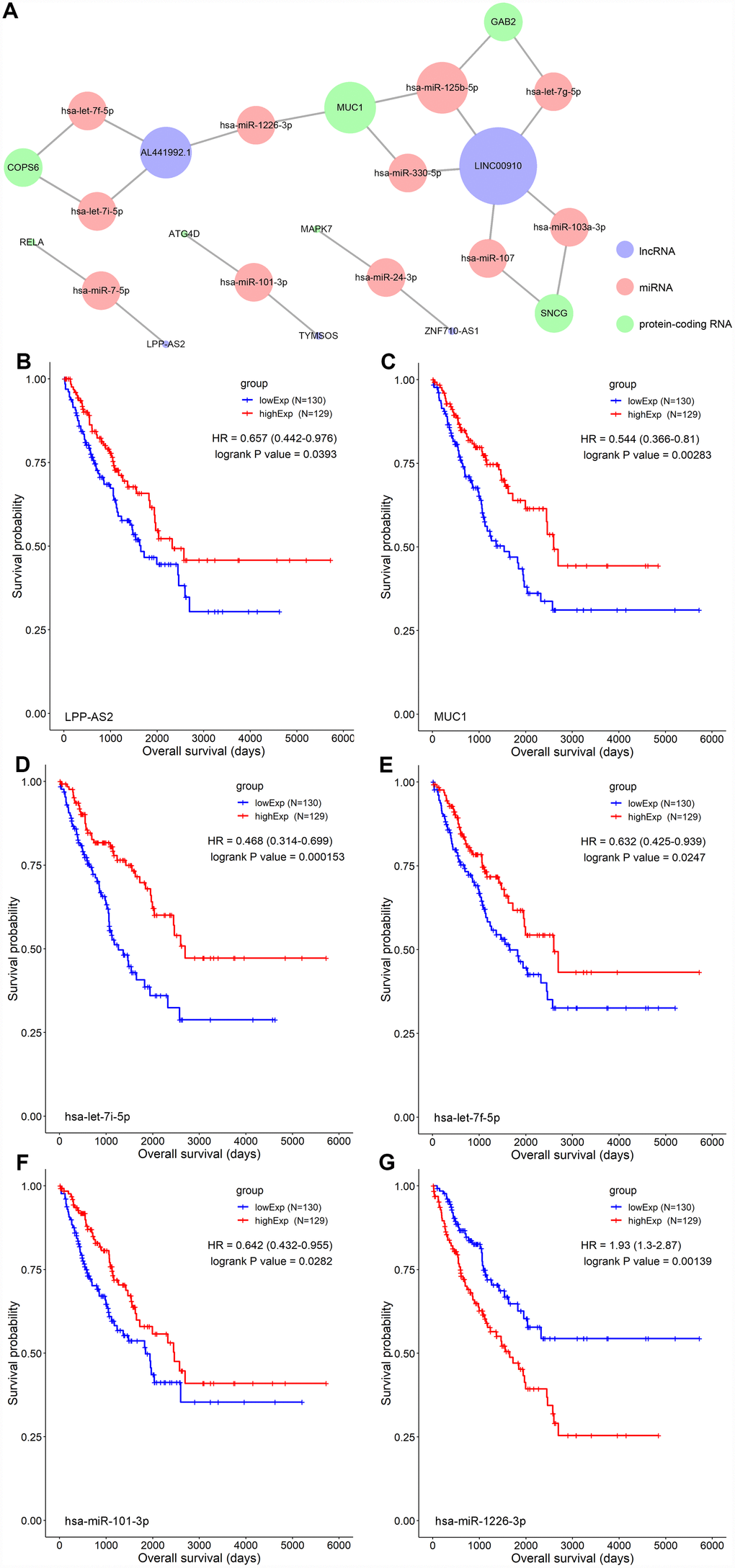 (A) The STS-recurrence related ceRNA network; The Kaplan-Meier survival curves of LPP-AS2 (B), MUC1 (C), hsa-let-7i-5p (D), hsa-let-7f-5p (E), hsa-miR-101-3p (F) and hsa-miR-1226-3p (G). Abbreviations: STSs: soft tissue sarcomas; ceRNAs: competing endogenous RNAs