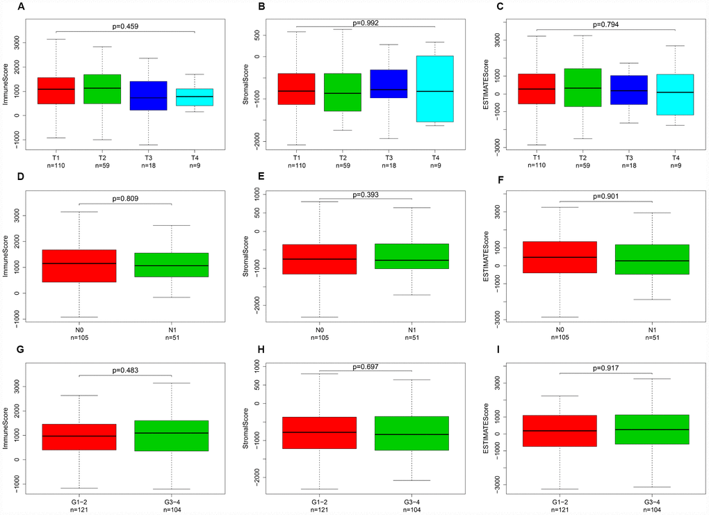 Immune, stromal, and ESTIMATE scores were not correlated with T stage, N stage, or tumor grade. Distribution of immune scores plotted against T stage (A), N stage (D), and tumor grade (G). Distribution of stromal scores plotted against T stage (B), N stage (E), and tumor grade (H). Distribution of ESTIMATE scores plotted against T stage (C), N stage (F), and tumor grade (I).