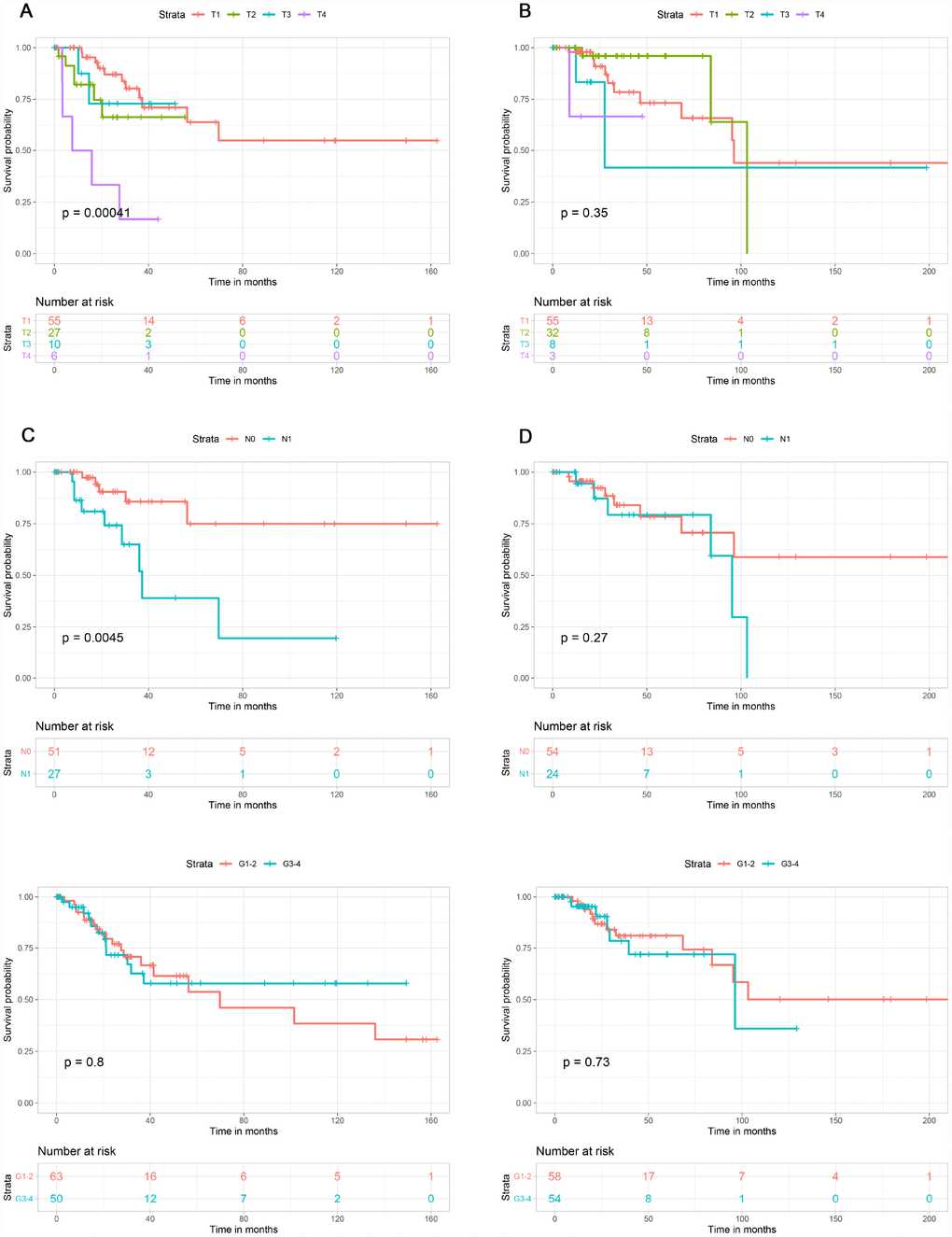 Association of T stage, N stage and tumor grade with overall survival in the low and high immune score groups. T stage was associated with overall survival in the low immune score group (A), but not the high immune score group (B). N stage was associated with overall survival in low immune score group (C), but not in high immune score group (D). Tumor grade was not associated with overall survival in low (E) or high (F) immune score group.