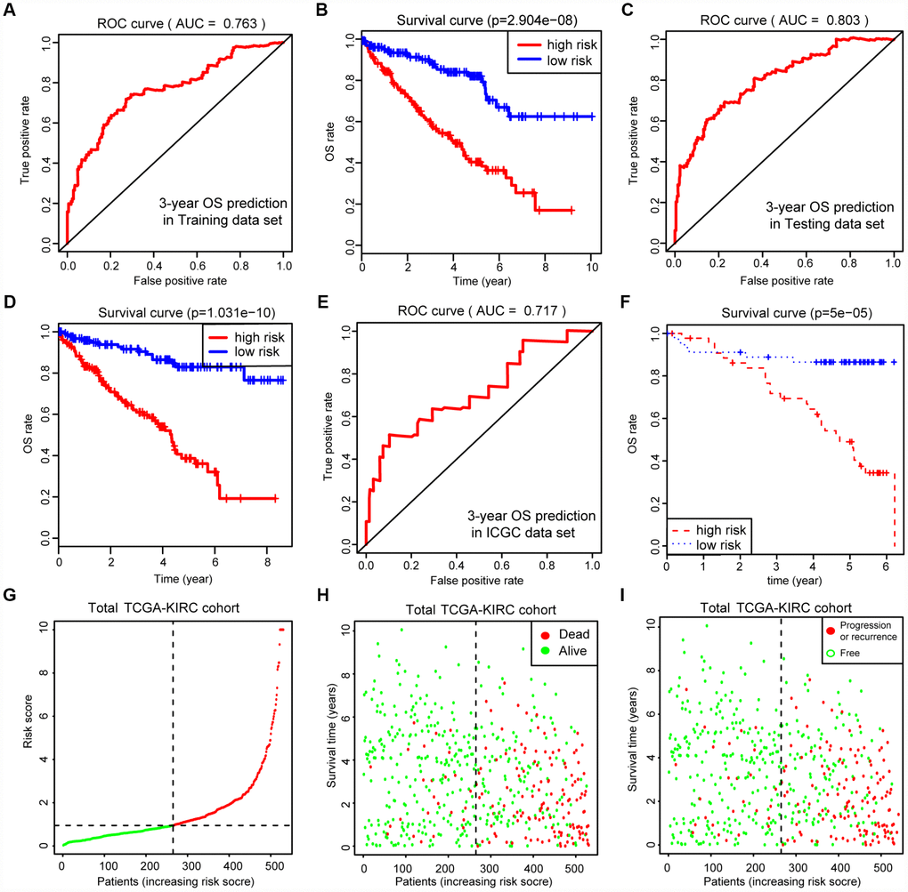 Internal and external validation of MAGs to determine its clinical predictive value. (A, C) The AUCs of ROC curves were 0.763 and 0.803 in predicting 3-year OS events in training and testing cohorts, respectively. (B, D) Besides, Kaplan-Meier analysis indicated that patients with high MAGs-score suffered significantly worse OS outcomes (P = 2.904e-08), which was validated consistently in testing cohort with P = 1.031e-10. (E, F) In addition, we also proved our findings in an independent ICGC cohort and observed the similar statistical results. (G–I) We further integrated MAGs signature with survival analysis in the total TCGA-KIRC cohort and distribution plots suggested that high MAGs risk scores correlated with more dead and recurrence/progression cases.