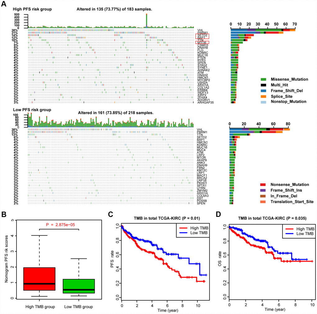 Differential landscape of somatic mutation burden between high and low MAGs-nomogram levels. (A) The mutational landscape reflected that mutated events occurred more frequently in high Nomogram-score group than that in low group. Besides, the Chi-square test revealed that VHL, PBRM1, SETD2 and BAP1 especially harbored more mutants compared with that in low risk group. (B) Wilcoxon rank-sum test suggested that the MAGs-nomogram risk scores were significantly higher in high TMB group than that in low TMB group (P = 2.875e-05). (C, D) Additionally, we found that higher TMB levels were associated with more risks of progression events with P = 0.01 and worse OS outcomes with P = 0.035.