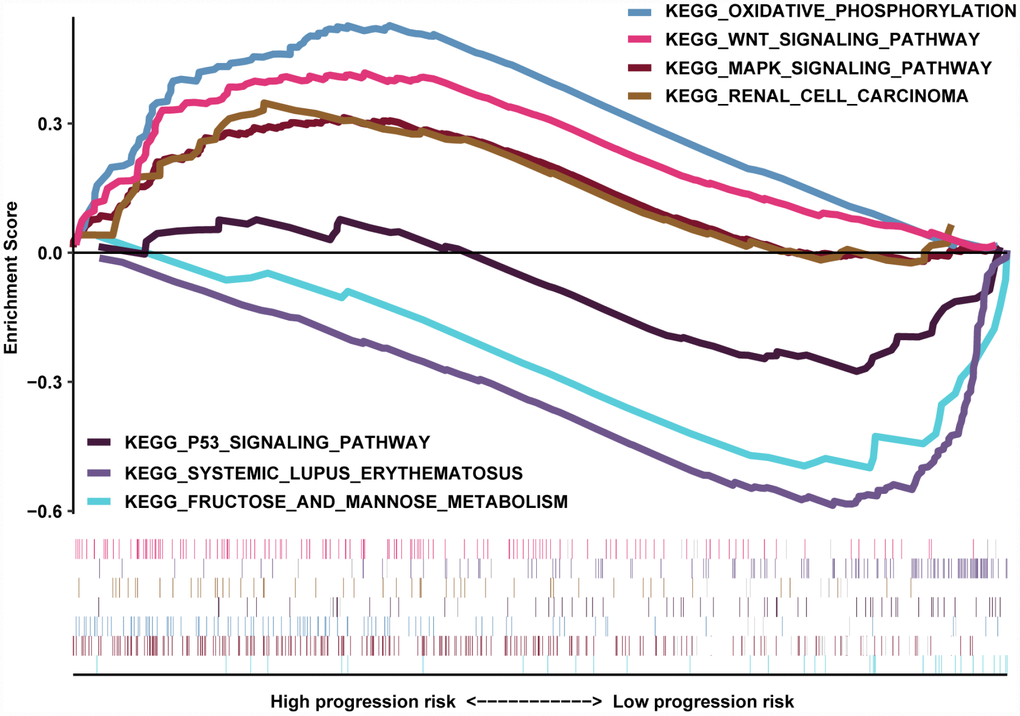 GSEA results revealed the significantly enriched biological processes between two nomogram-score levels.