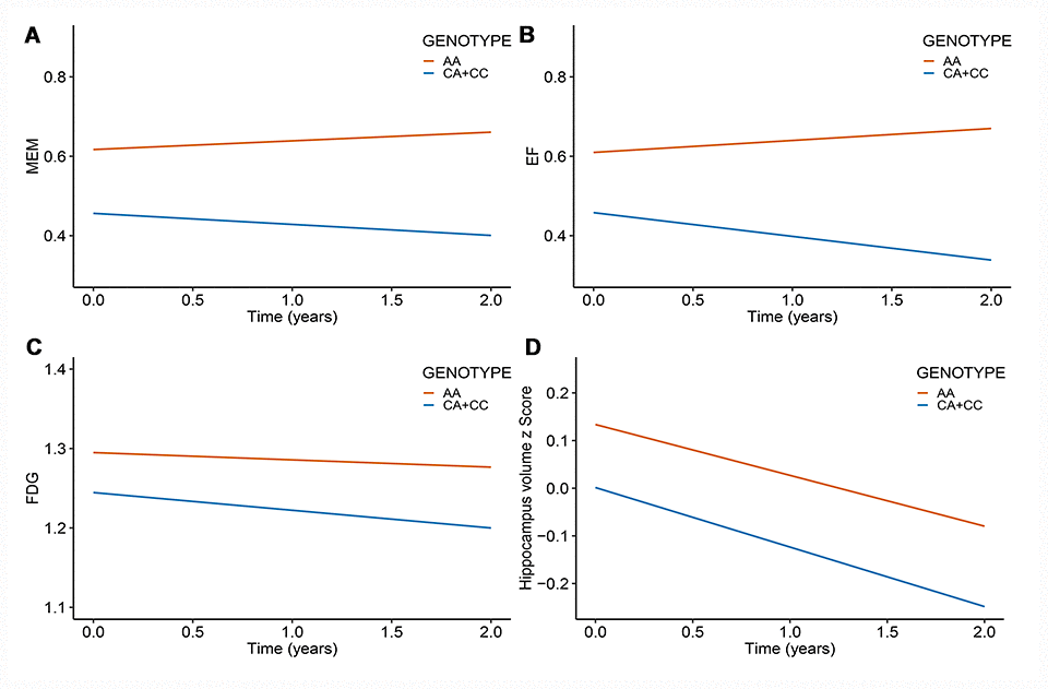 Rs11620312 associated with other phenotypes longitudinally. The minor allele (C) of rs11620312 was associated with the increased rates of EF decline (B, PBonf = 0.037) and FDG hypometabolism (C, PBonf = 0.029), however it was not associated with the change rates of MEM (A, PBonf = 0.18) and hippocampus volume (D, PBonf = 1.16) over time. Abbreviation: MEM = cognitive score for memory; EF = cognitive score for executive functioning; FDG = 18F-fluorodeoxyglucose.