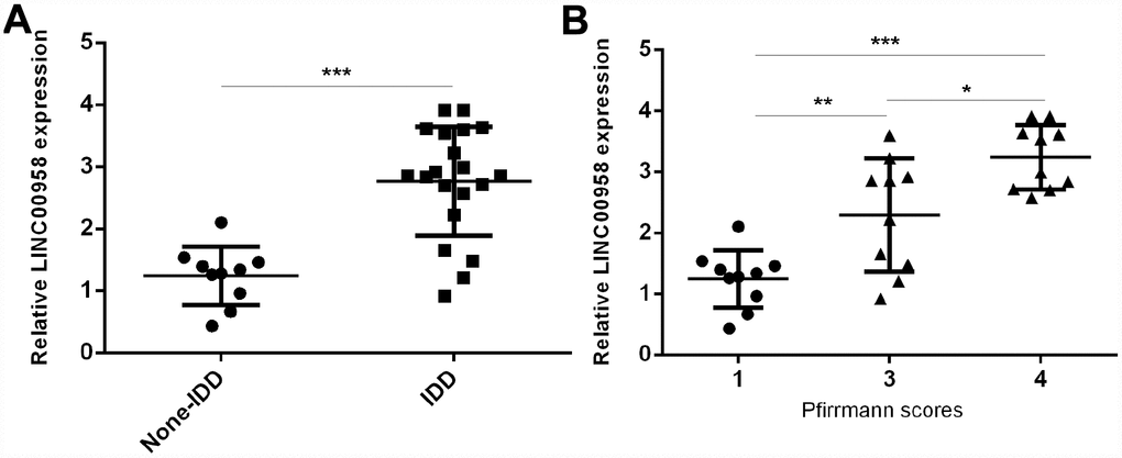 LncRNA LINC00958 was upregulated in degenerative NP samples. (A) The expression of LINC00958 was determined in 20 degenerative NP tissues and 10 scoliotic NP samples by using qRT-PCR analysis. (B) LINC00958 expression increased gradually along with the grade of exacerbation of disc degeneration. Data were showed as mean±SD. *p