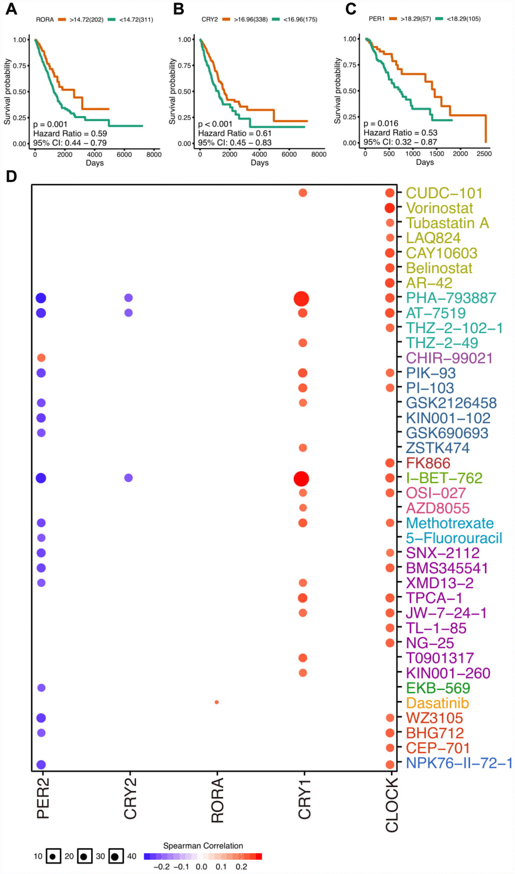 The clinical relevance of core clock genes. (A) The survival plot of RORA gene expression (log-transformed FPKM) in lung adenocarcinoma. (B) The survival plot of CRY2 gene expression (log-transformed FPKM) in lung adenocarcinoma. (C) The survival plot of PER1 gene expression (log-transformed FPKM) in esophageal carcinoma. (D) Correlation between drugs and core circadian clock genes. The full survival plots can be seen in supplementary materials.