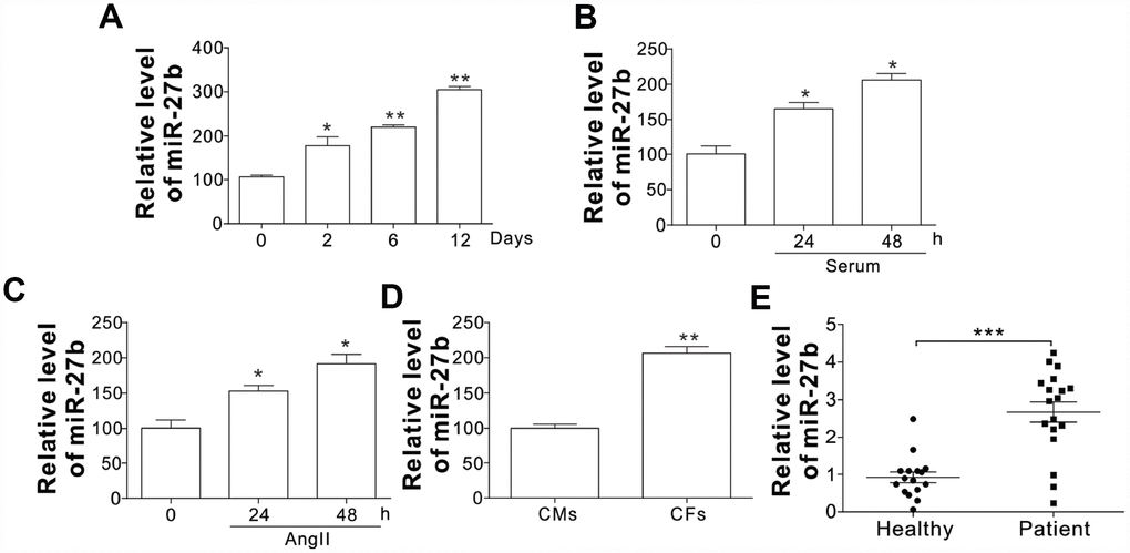 The miR-27b expression (A–C) The miR-27b expression in PIA of infarcted heart at different time points (A) and 10 % serum-treated CFs of rats (B) or angiotensin II (AngII, 100 nM; C) at designated time points. (D) The miR-27b expression in CMs and CFs. Data were represented as mean ± SEM (n=4). (E) The miR-27b expression in plasma specimens of healthy participants (n=16) and cardiac fibrosis patients (n=19). *, ppp
